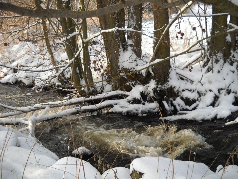 Ascha im Winter
