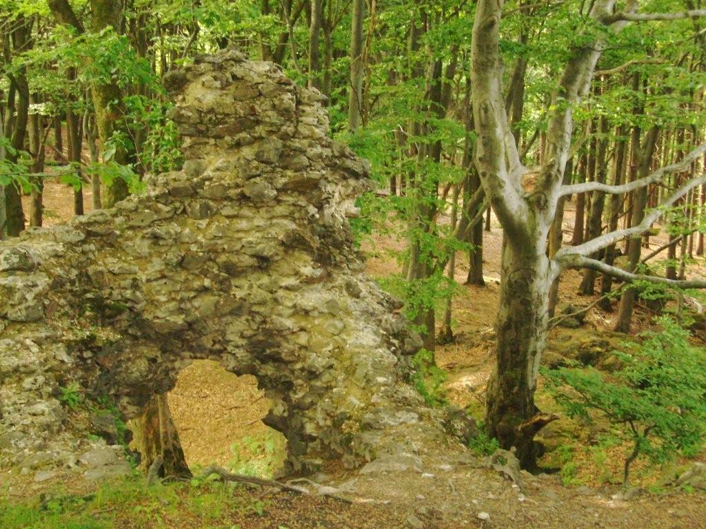 Gaisthal aus Sicht Zeltlager